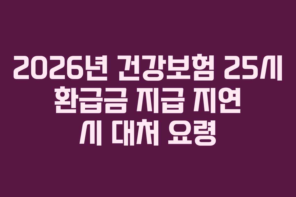 2026년 건강보험 25시 환급금 지급 지연 시 대처 요령