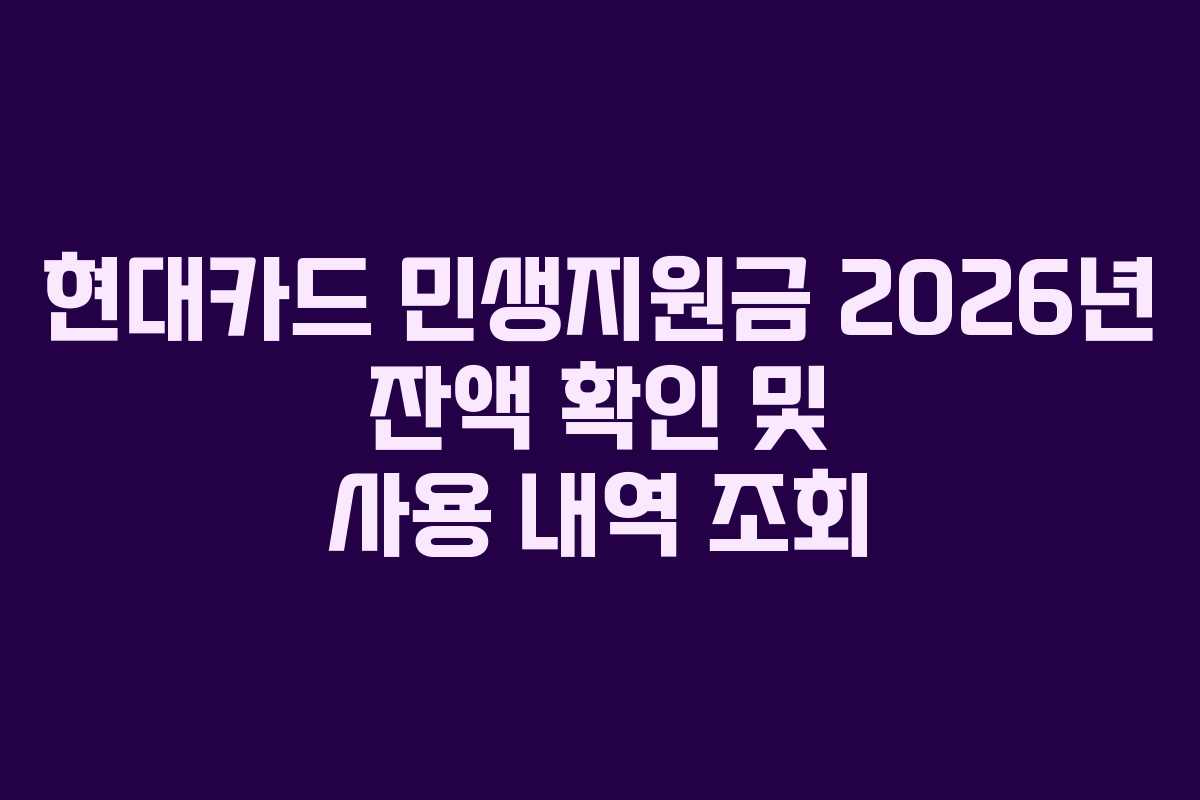 현대카드 민생지원금 2026년 잔액 확인 및 사용 내역 조회