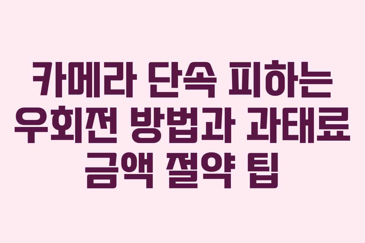 카메라 단속 피하는 우회전 방법과 과태료 금액 절약 팁