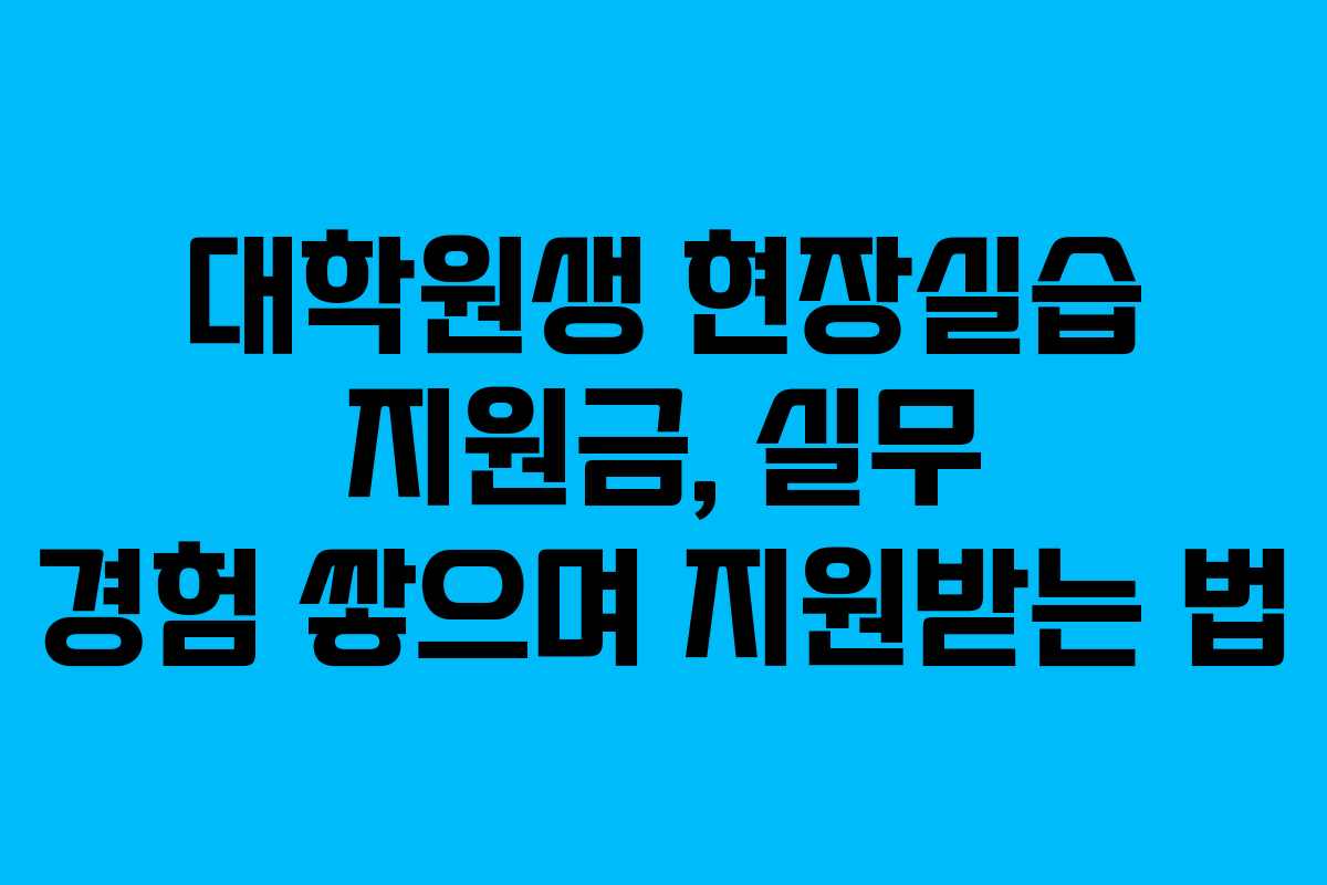 대학원생 현장실습 지원금, 실무 경험 쌓으며 지원받는 법