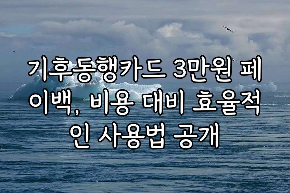 기후동행카드 3만원 페이백, 비용 대비 효율적인 사용법 공개
