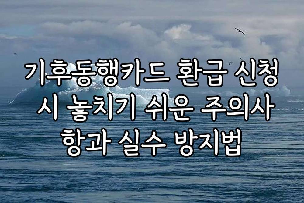 기후동행카드 환급 신청 시 놓치기 쉬운 주의사항과 실수 방지법