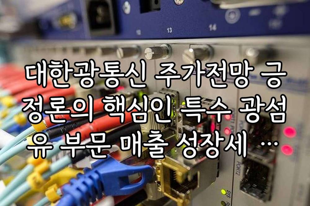 대한광통신 주가전망 긍정론의 핵심인 특수 광섬유 부문 매출 성장세 분석