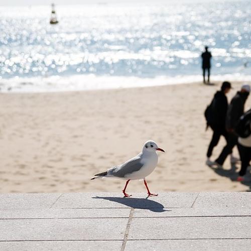 관련 이미지