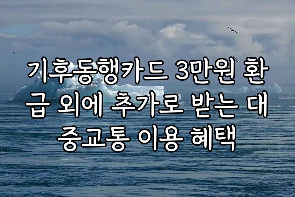 기후동행카드 3만원 환급 외에 추가로 받는 대중교통 이용 혜택