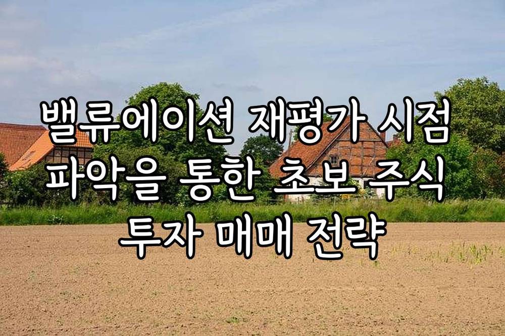 밸류에이션 재평가 시점 파악을 통한 초보 주식 투자 매매 전략