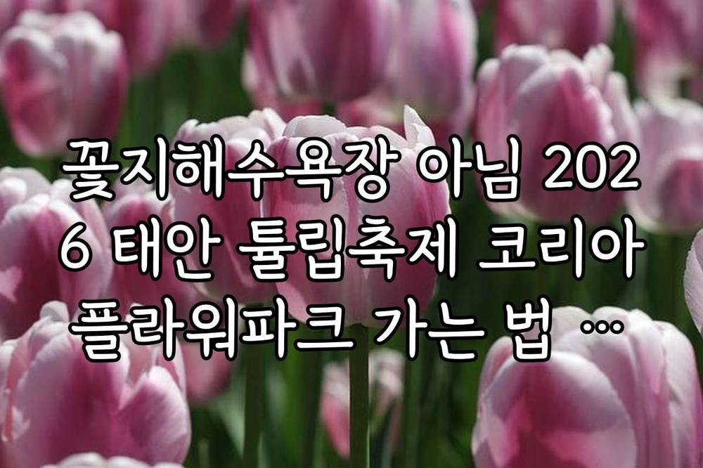 꽃지해수욕장 아님 2026 태안 튤립축제 코리아플라워파크 가는 법 가이드