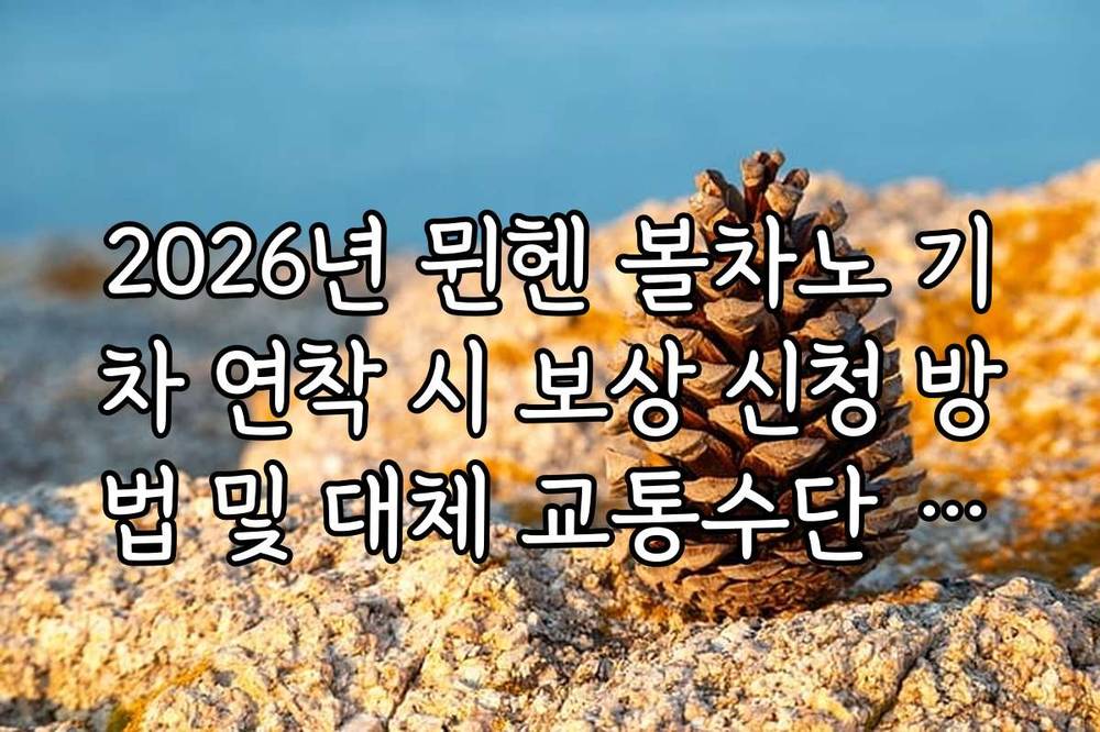 2026년 뮌헨 볼차노 기차 연착 시 보상 신청 방법 및 대체 교통수단 정보