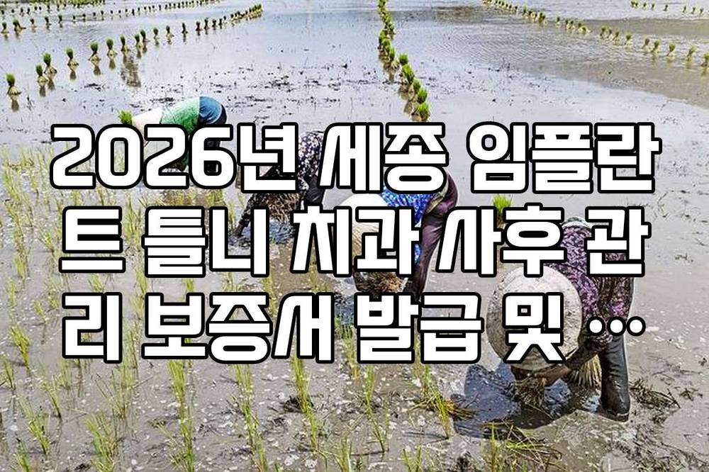 2026년 세종 임플란트 틀니 치과 사후 관리 보증서 발급 및 유지 비용 정리