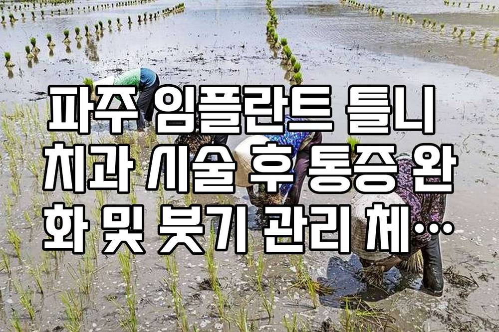 파주 임플란트 틀니 치과 시술 후 통증 완화 및 붓기 관리 체크리스트