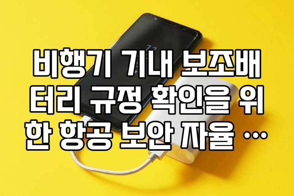 비행기 기내 보조배터리 규정 확인을 위한 항공 보안 자율 신고제 활용법