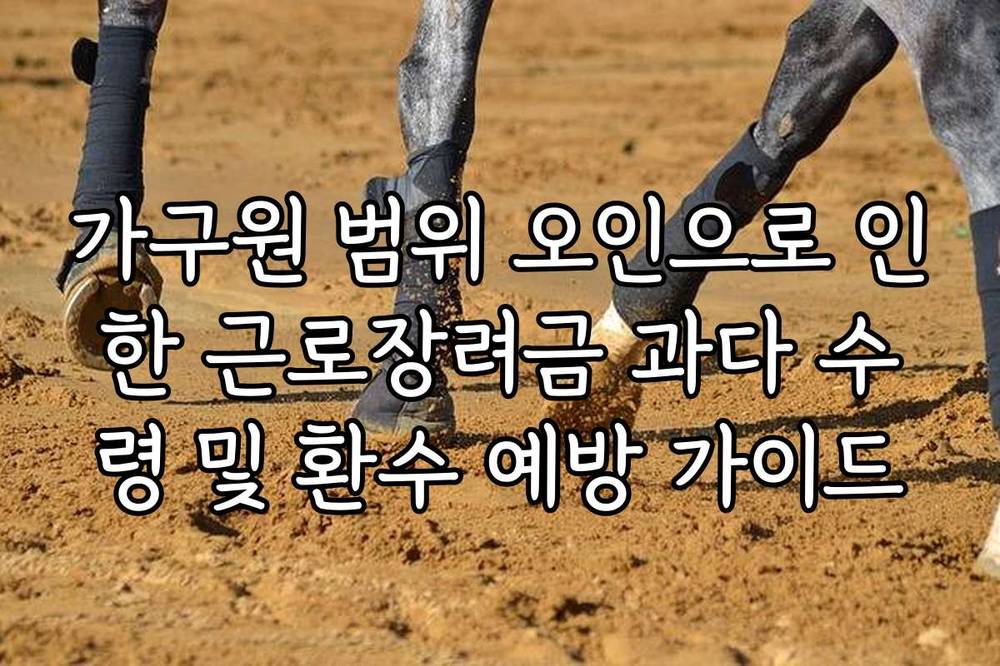 가구원 범위 오인으로 인한 근로장려금 과다 수령 및 환수 예방 가이드