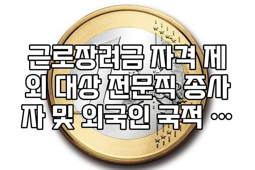 근로장려금 자격 제외 대상 전문직 종사자 및 외국인 국적 규정 안내