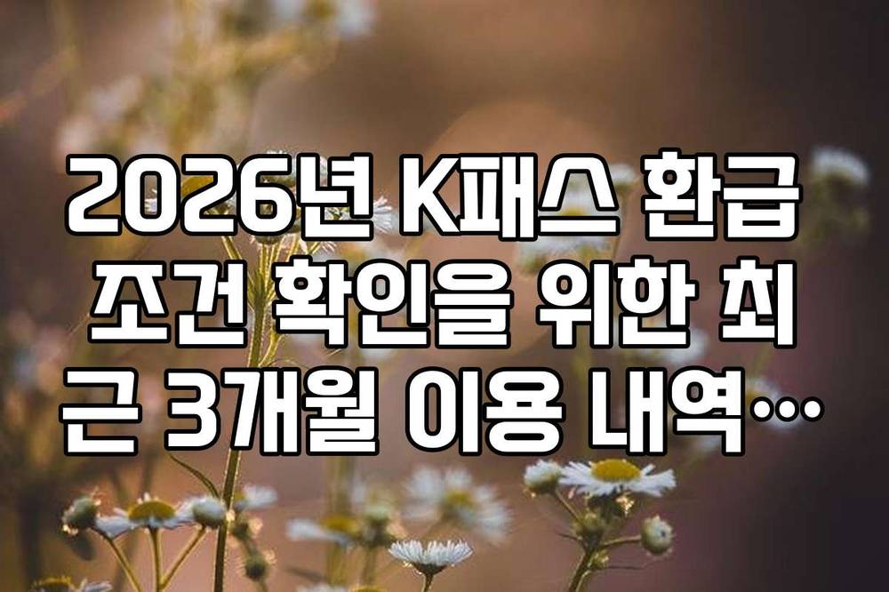 2026년 K패스 환급 조건 확인을 위한 최근 3개월 이용 내역 조회 방법