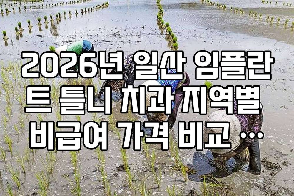 2026년 일산 임플란트 틀니 치과 지역별 비급여 가격 비교 데이터