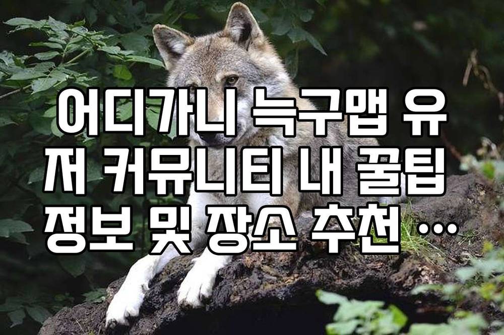 어디가니 늑구맵 유저 커뮤니티 내 꿀팁 정보 및 장소 추천 리스트