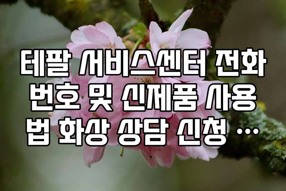테팔 서비스센터 전화번호 및 신제품 사용법 화상 상담 신청 방법