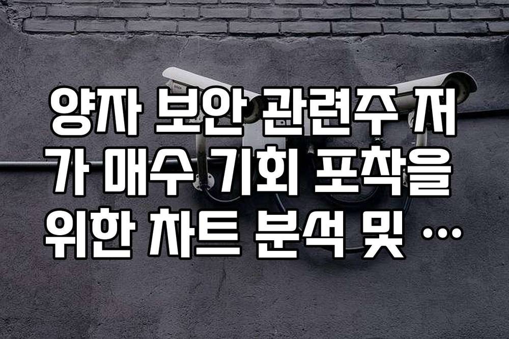 양자 보안 관련주 저가 매수 기회 포착을 위한 차트 분석 및 보조지표