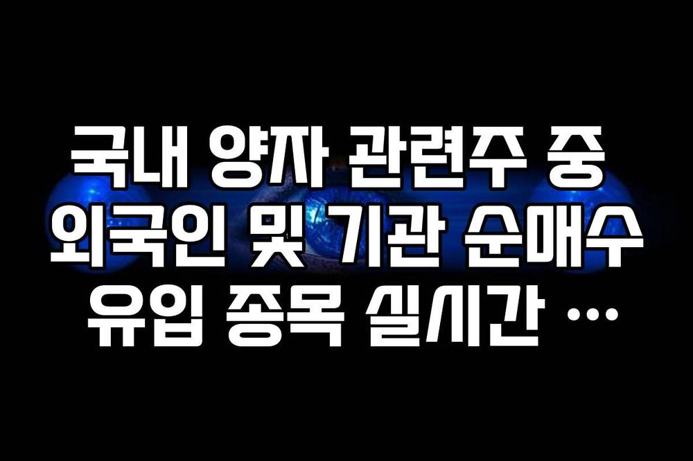 국내 양자 관련주 중 외국인 및 기관 순매수 유입 종목 실시간 확인