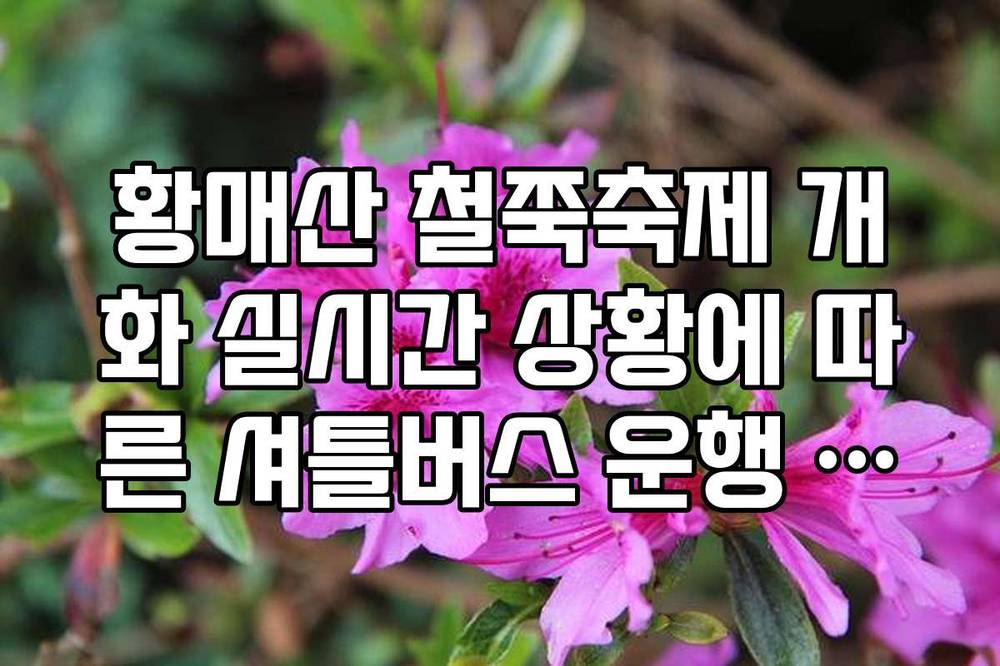 황매산 철쭉축제 개화 실시간 상황에 따른 셔틀버스 운행 시간표 변경