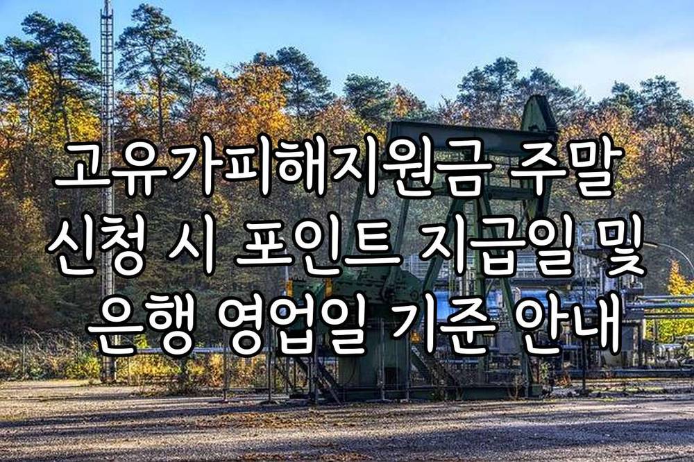 고유가피해지원금 주말 신청 시 포인트 지급일 및 은행 영업일 기준 안내