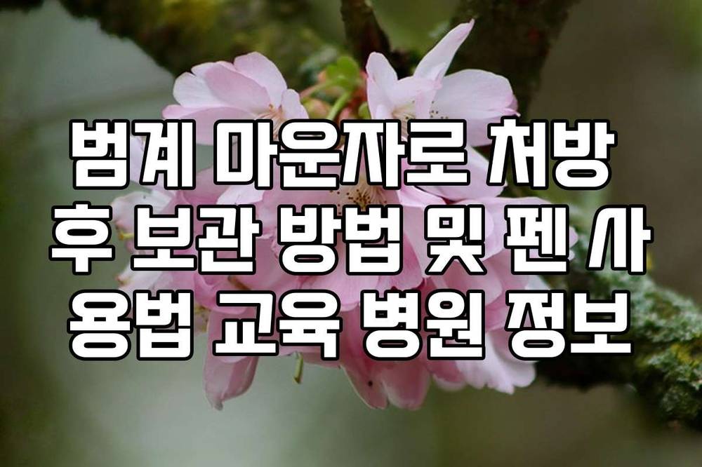 범계 마운자로 처방 후 보관 방법 및 펜 사용법 교육 병원 정보