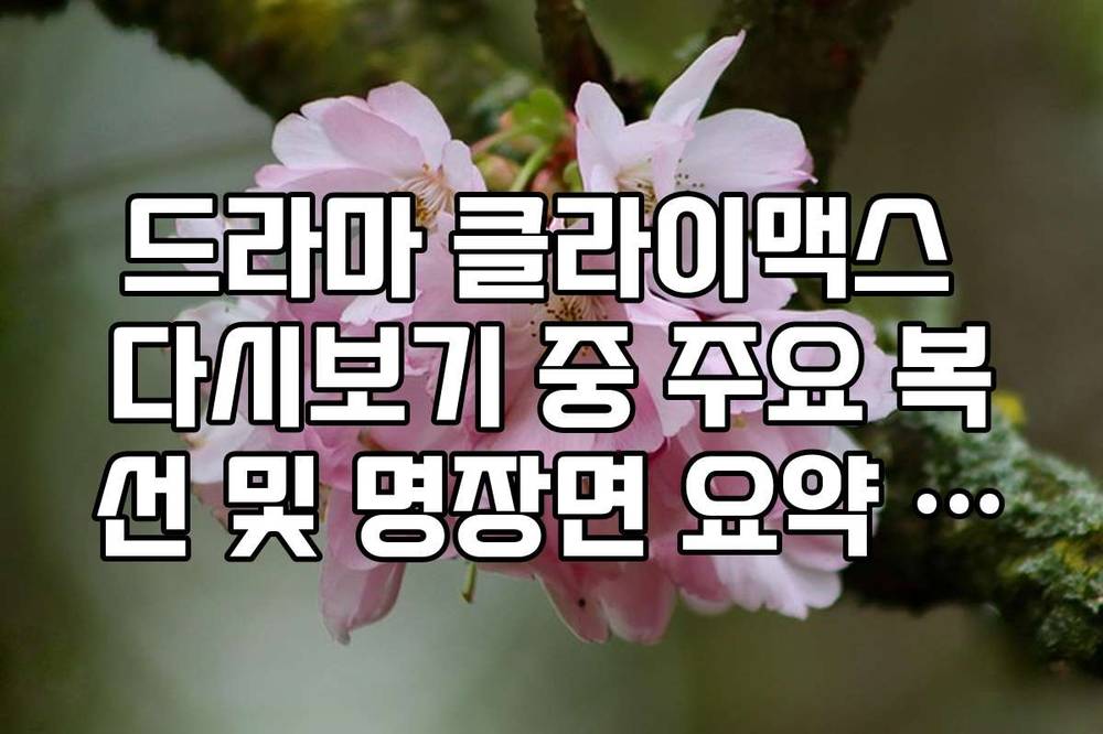 드라마 클라이맥스 다시보기 중 주요 복선 및 명장면 요약 리스트