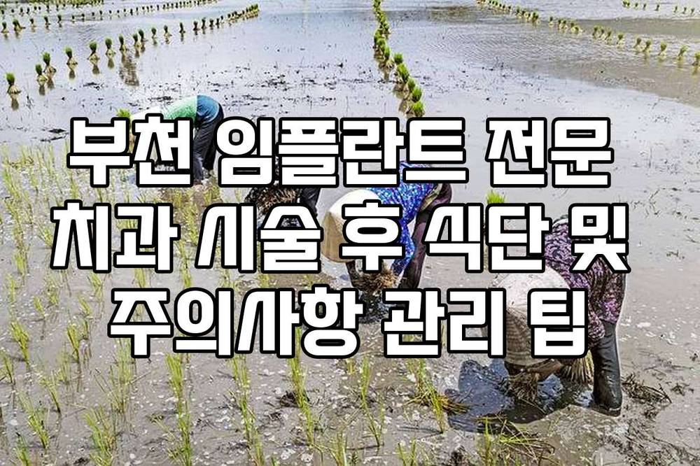부천 임플란트 전문 치과 시술 후 식단 및 주의사항 관리 팁