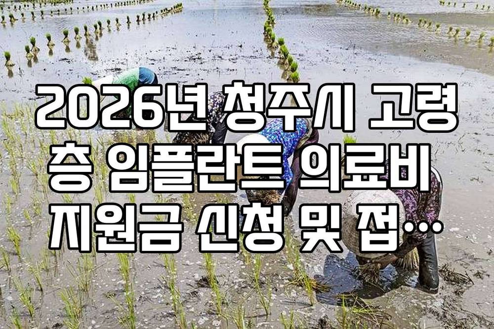 2026년 청주시 고령층 임플란트 의료비 지원금 신청 및 접수처 안내