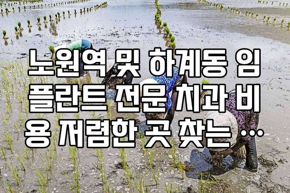 노원역 및 하계동 임플란트 전문 치과 비용 저렴한 곳 찾는 가이드
