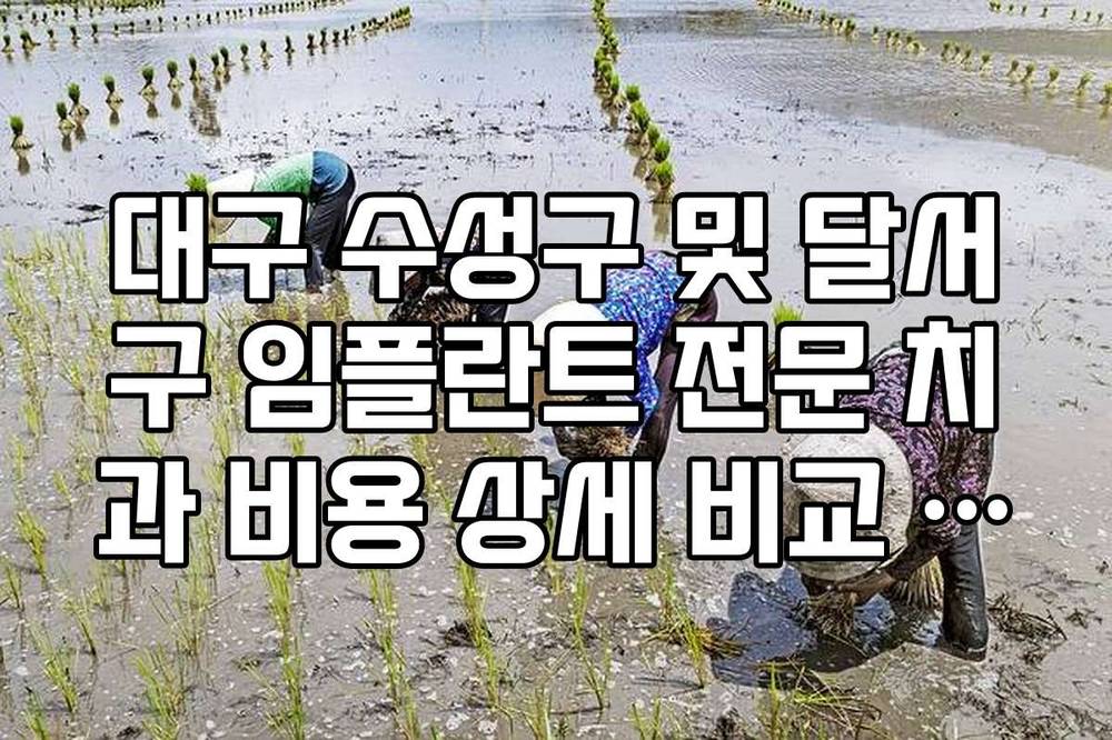 대구 수성구 및 달서구 임플란트 전문 치과 비용 상세 비교 리스트