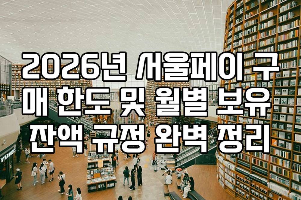 2026년 서울페이 구매 한도 및 월별 보유 잔액 규정 완벽 정리