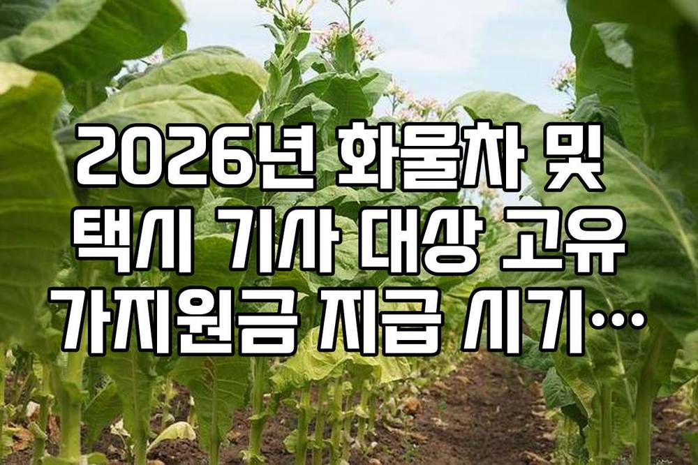 2026년 화물차 및 택시 기사 대상 고유가지원금 지급 시기 정리