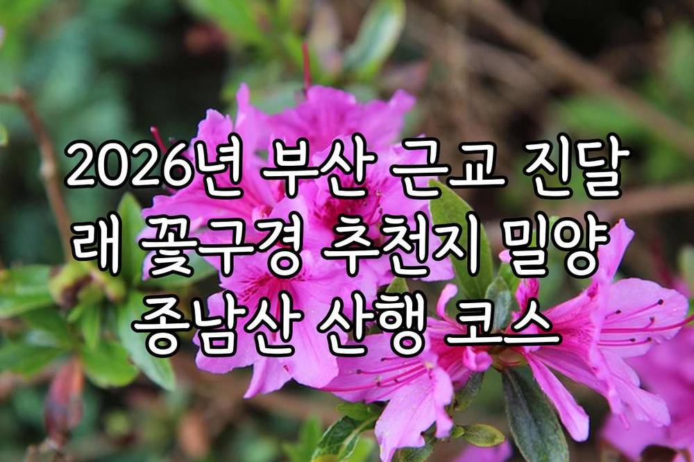 2026년 부산 근교 진달래 꽃구경 추천지 밀양 종남산 산행 코스