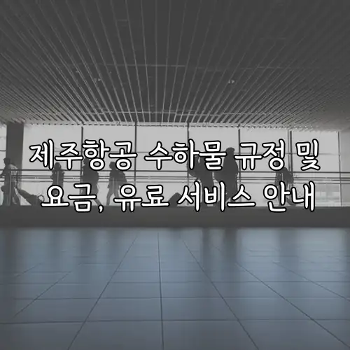 제주항공 수하물 규정 및 요금, 유료 서비스 안내