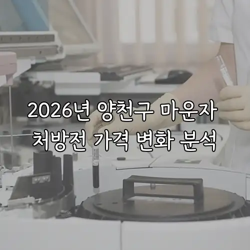 2026년 양천구 마운자 처방전 가격 변화 분석