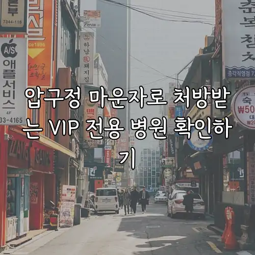 압구정 마운자로 처방받는 VIP 전용 병원 확인하기