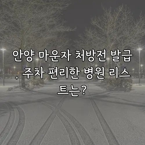 안양 마운자 처방전 발급, 주차 편리한 병원 리스트는?