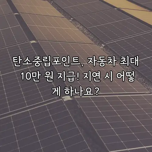 탄소중립포인트, 자동차 최대 10만 원 지급! 지연 시 어떻게 하나요?