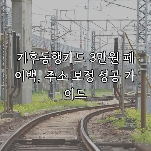 기후동행카드 3만원 페이백, 주소 보정 성공 가이드