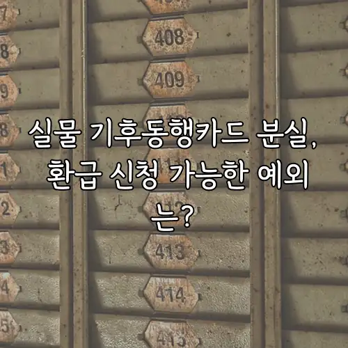 실물 기후동행카드 분실, 환급 신청 가능한 예외는?