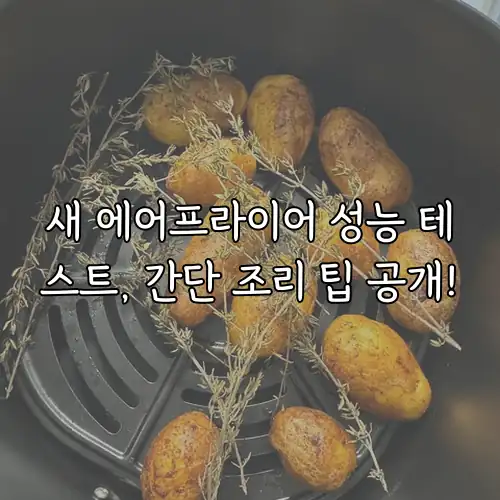 새 에어프라이어 성능 테스트, 간단 조리 팁 공개!