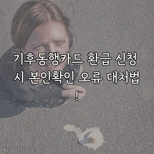 기후동행카드 환급 신청 시 본인확인 오류 대처법!