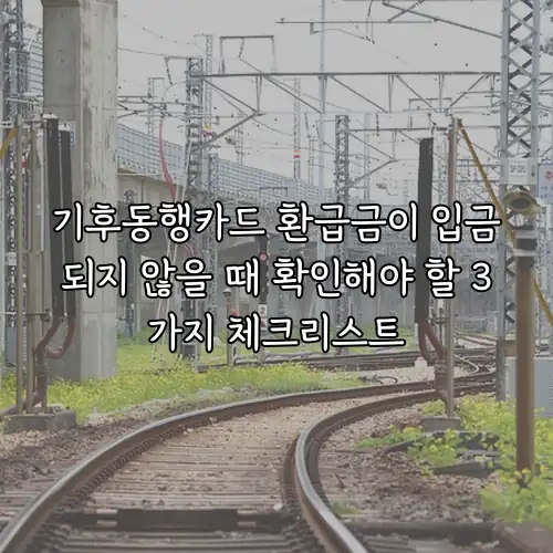 기후동행카드 환급금이 입금되지 않을 때 확인해야 할 3가지 체크리스트