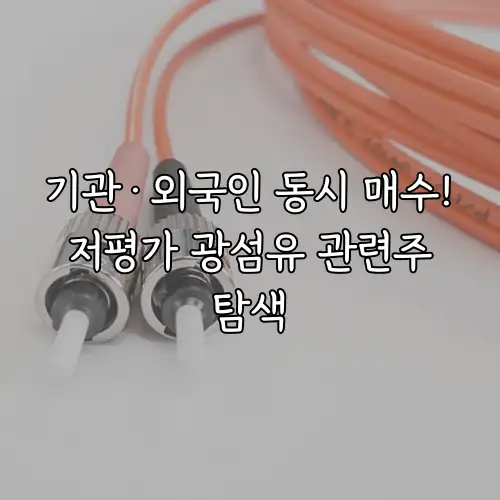 기관&middot;외국인 동시 매수! 저평가 광섬유 관련주 탐색