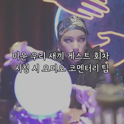 미운 우리 새끼 게스트 회차 시청 시 오디오 코멘터리 팁