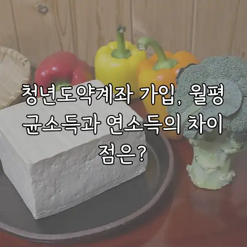 청년도약계좌 가입, 월평균소득과 연소득의 차이점은?