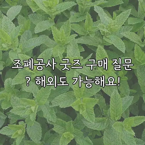 조폐공사 굿즈 구매 질문? 해외도 가능해요!