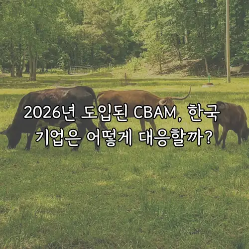 2026년 도입된 CBAM, 한국 기업은 어떻게 대응할까?