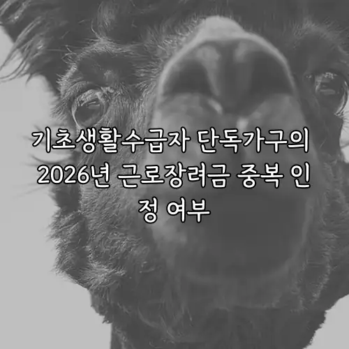 기초생활수급자 단독가구의 2026년 근로장려금 중복 인정 여부